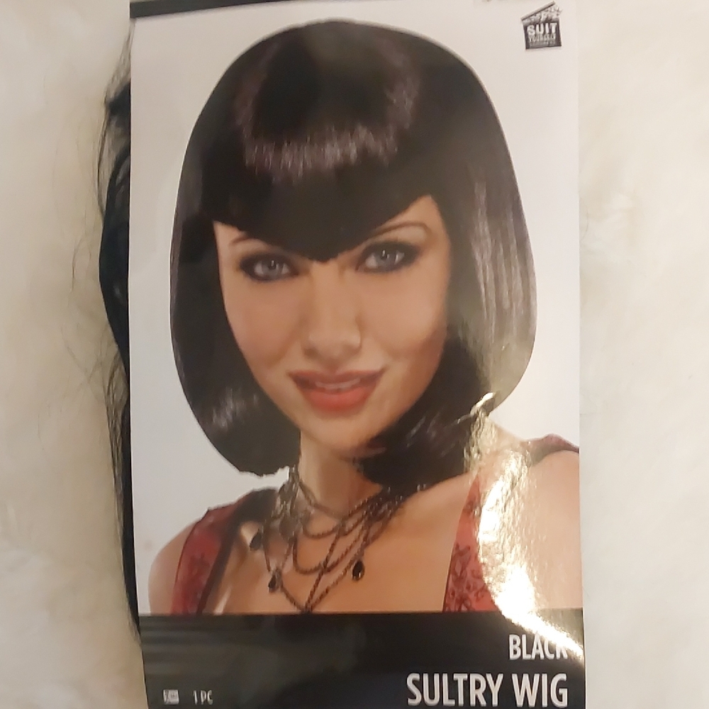 Sleek Black Sultry Wig
